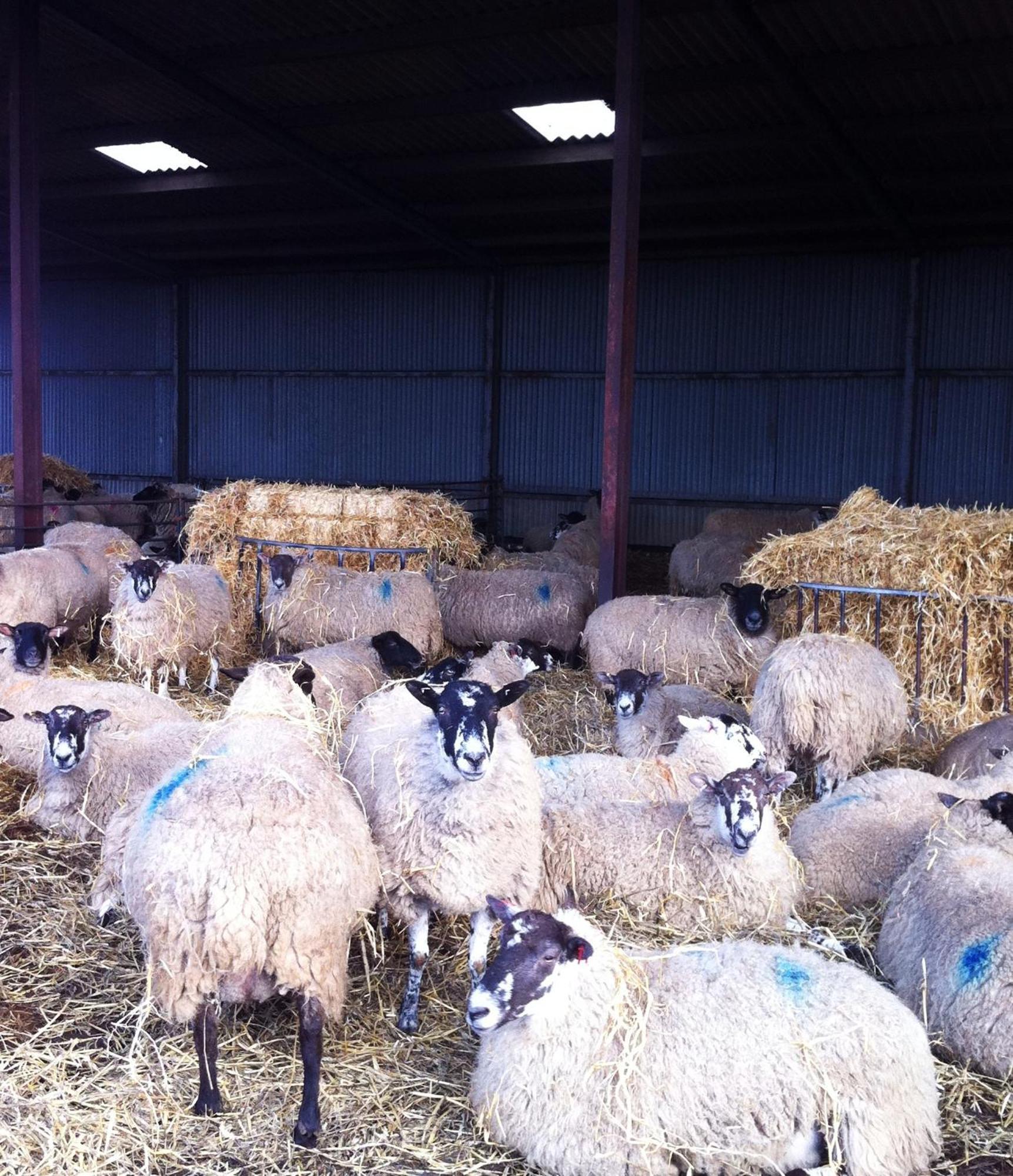 Alderminster Whitchurch Farm Guesthouse מראה חיצוני תמונה